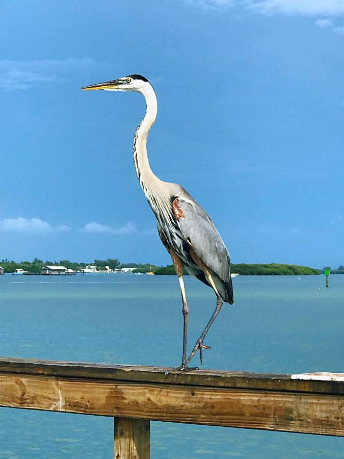 Shorewalk Full Condo Lake View Near To Beach Img Bradenton Kültér fotó